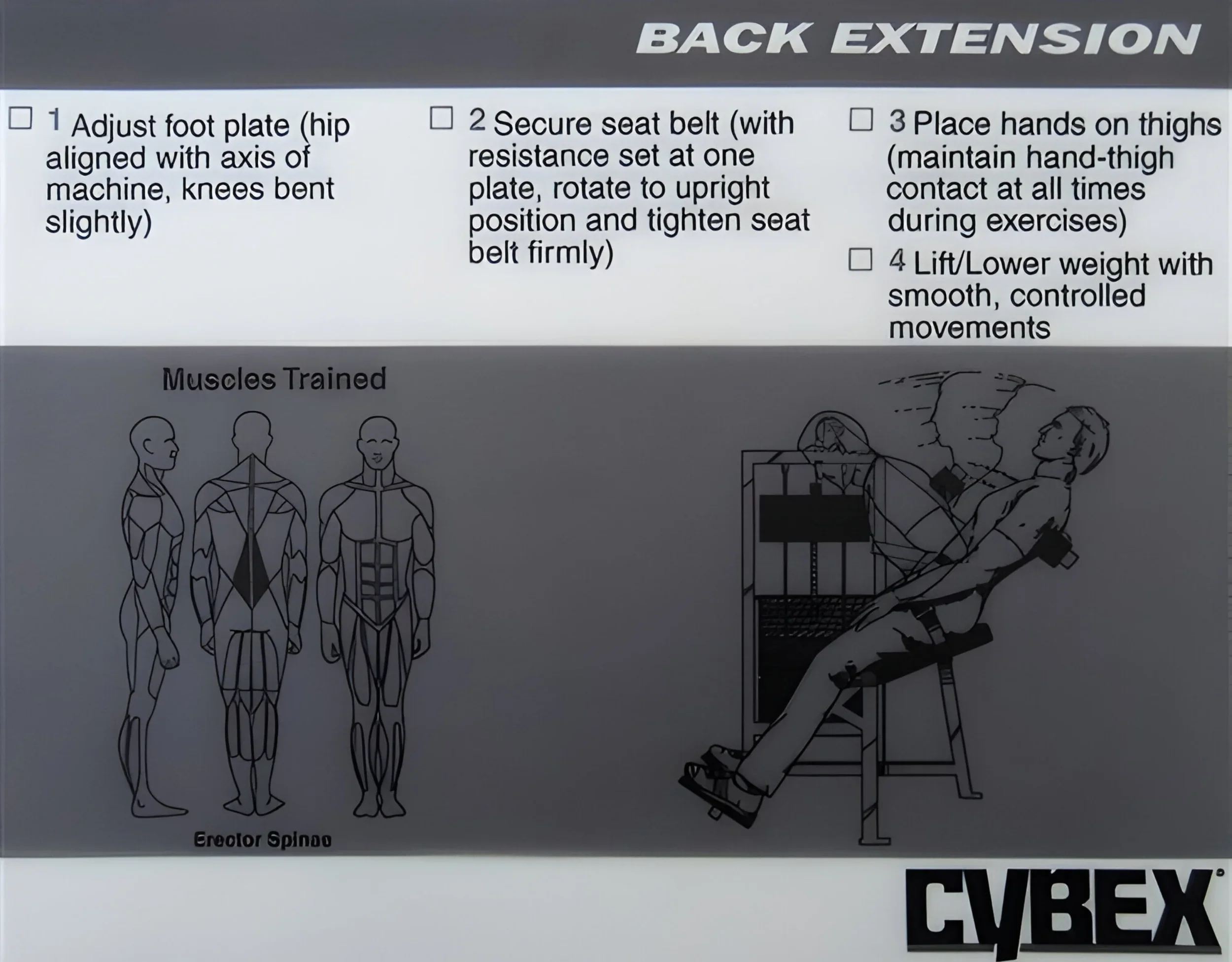 Cybex Classic Back Extension (Remanufactured) - Image 2