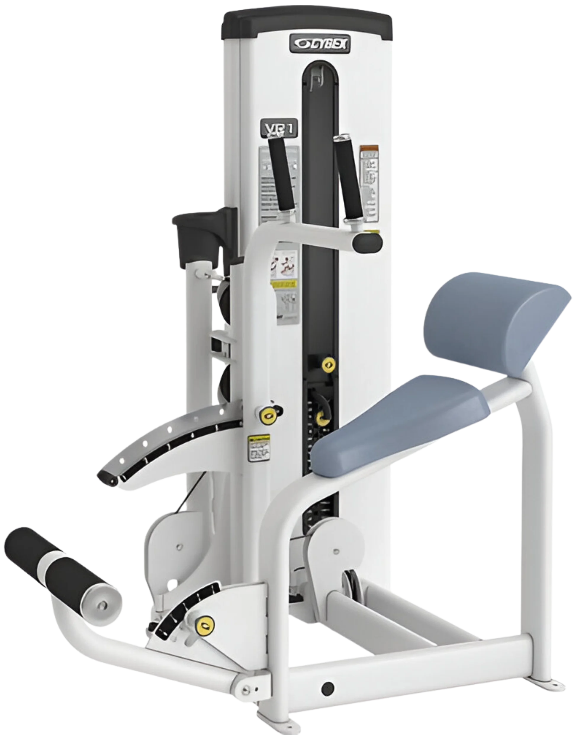 Cybex VR1 Dual Abdominal/Back Extension (Remanufactured)
