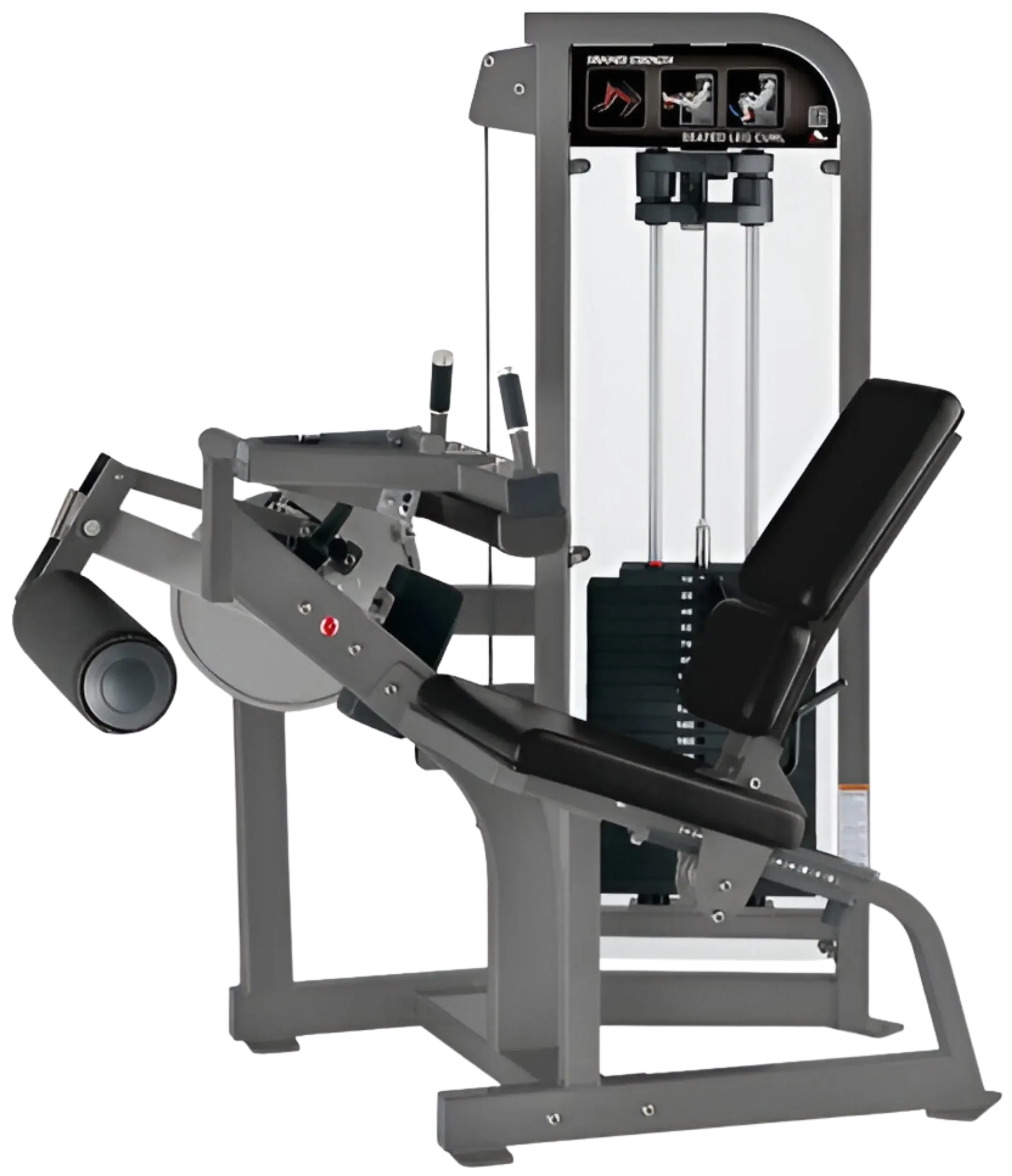 Hammer Strength Select Seated Leg Curl (Remanufactured)