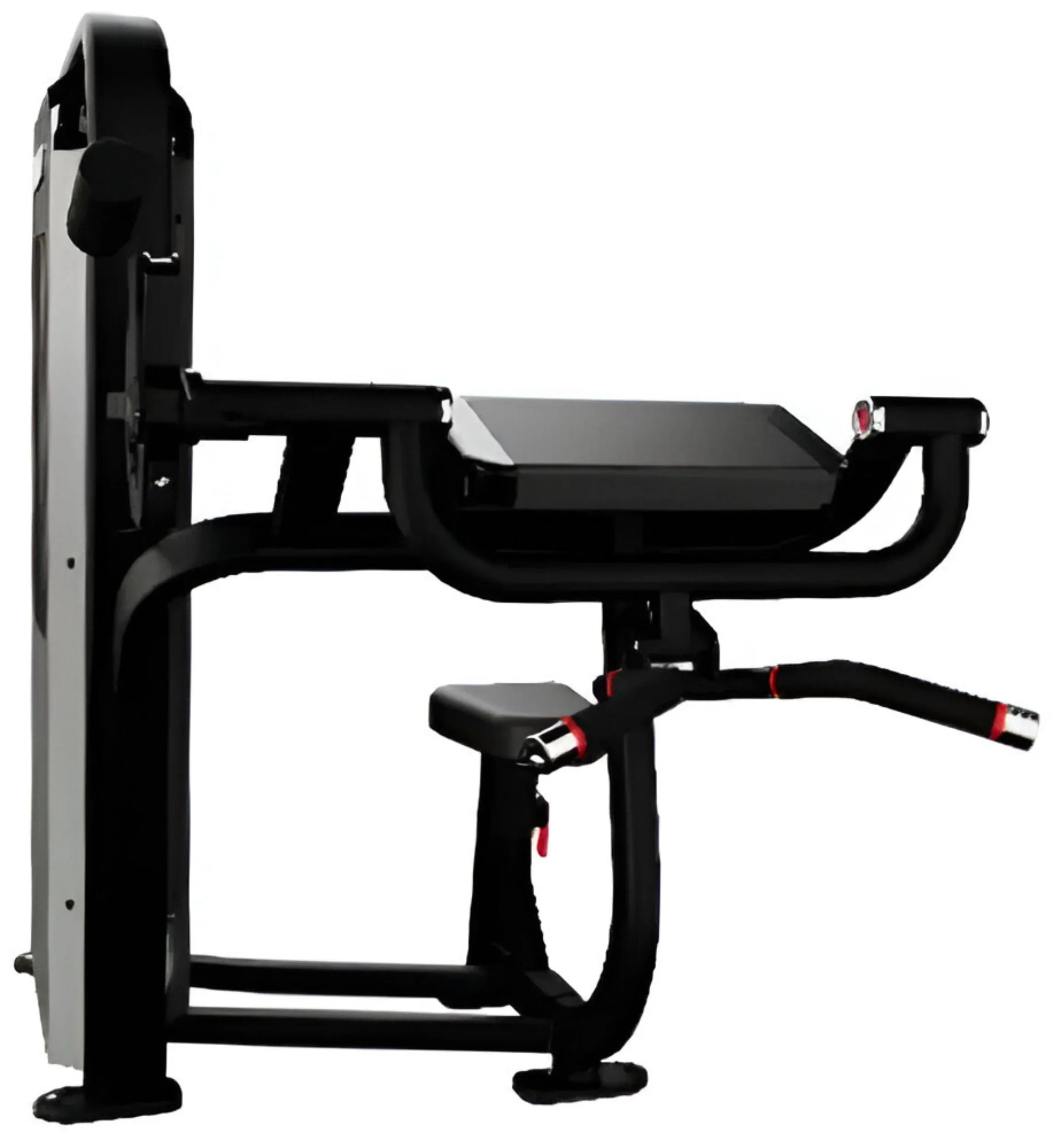 Nautilus Impact Biceps Curl 9NA-S5301-60AGS (New) - Image 7