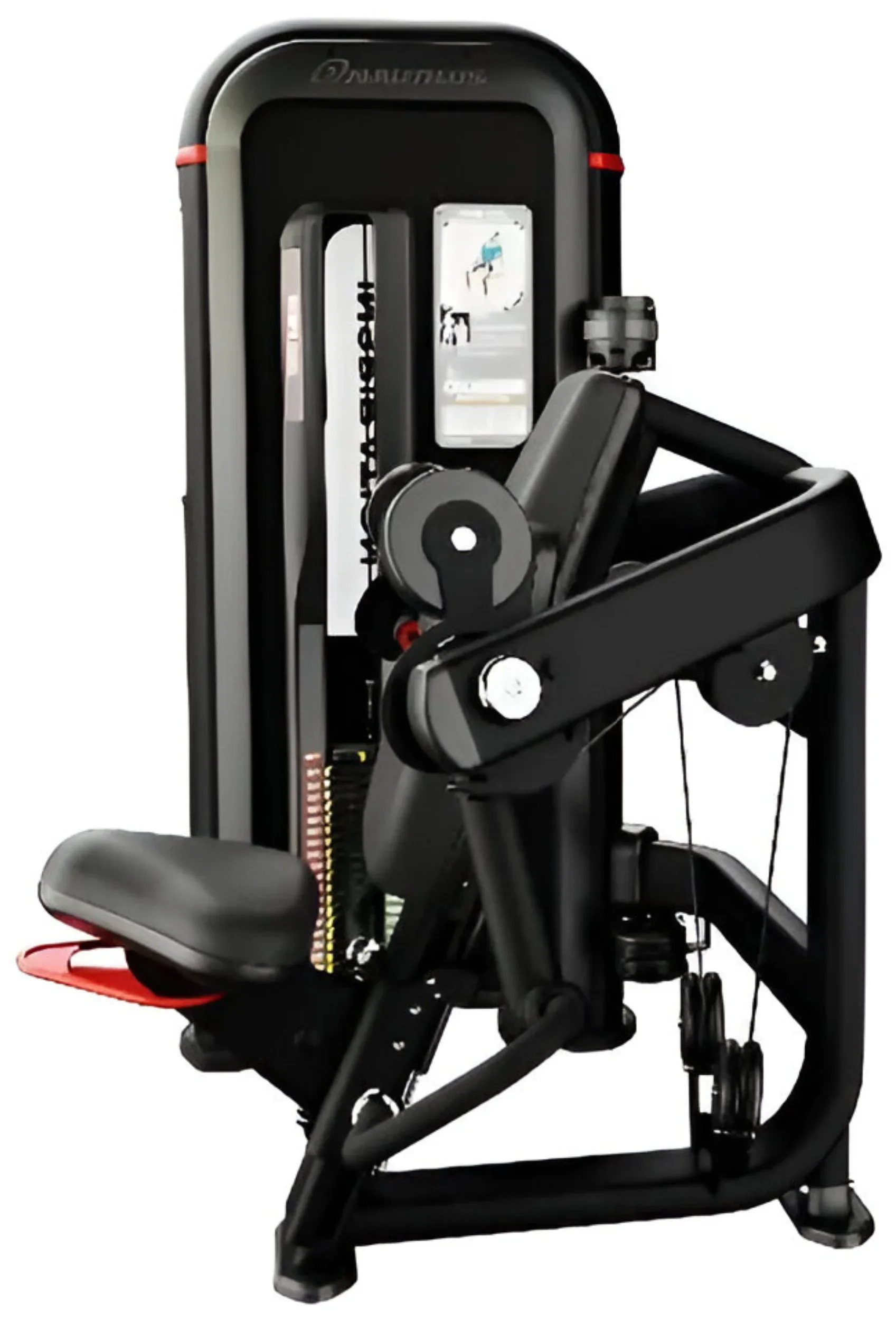 Nautilus Inspiration Biceps Curl 9-IPBC5-60BZ (New) - Image 2