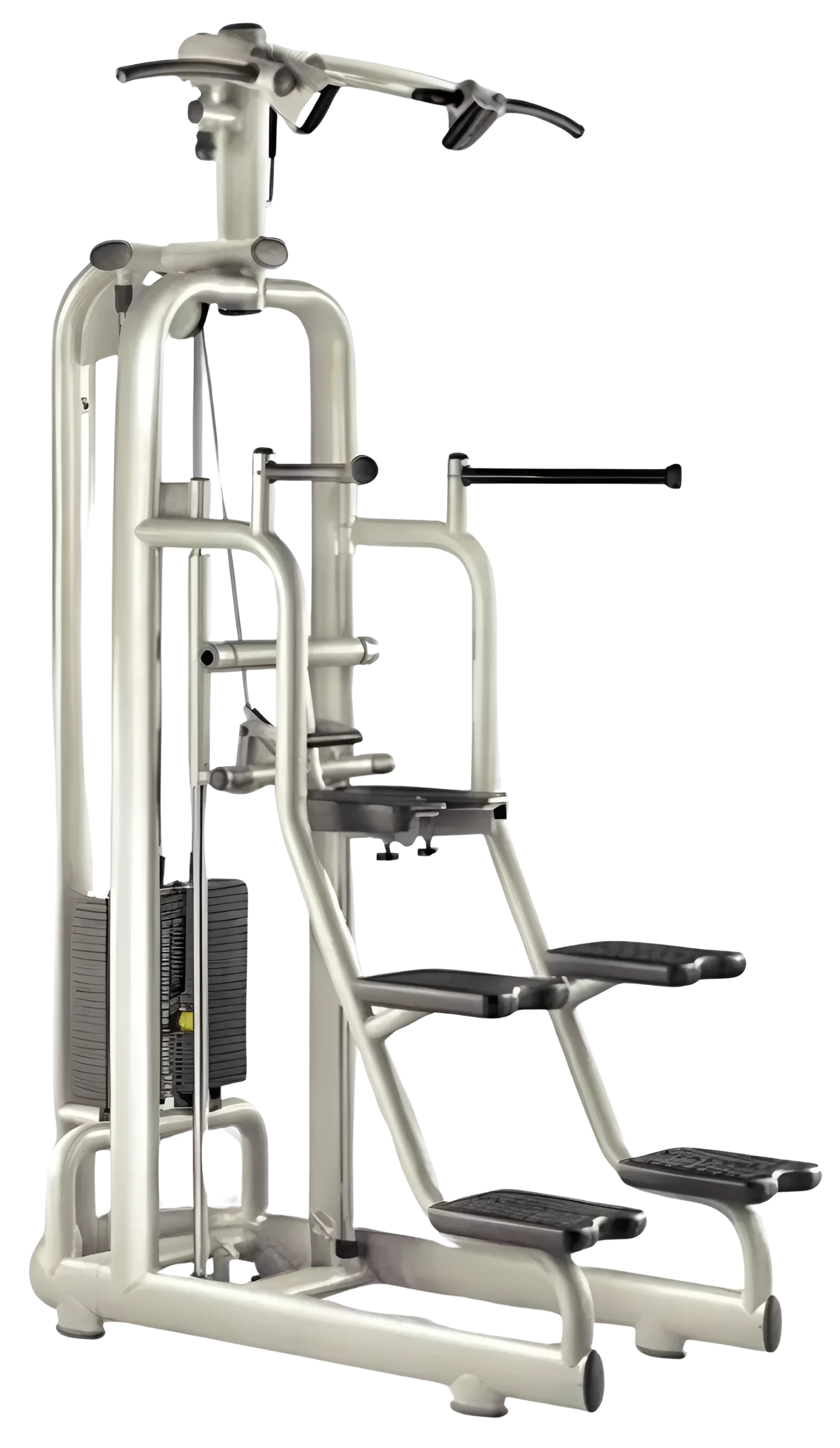 Technogym Selection Chin / Dip Assist (Remanufactured)